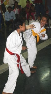 2011 Karate
